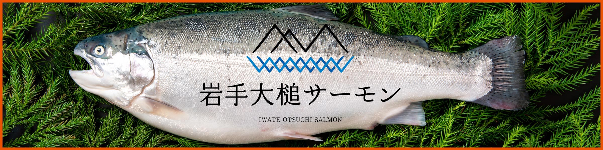 岩手大槌サーモン